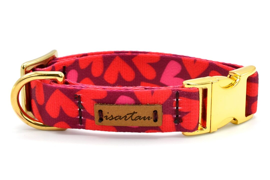 Halsband Herzklopfen 20mm Breit - für Welpen geeignet