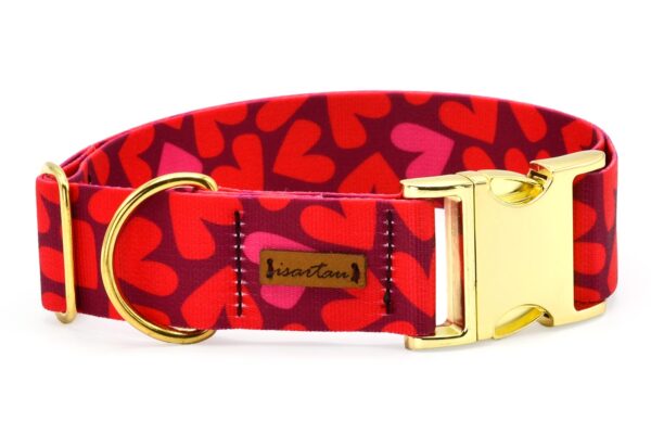Designer Hundehalsband, *Herzklopfen*, Größe XL, Breite 38mm