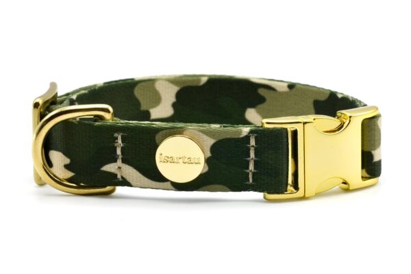 Designerhalsband *Entdecker* – Bild 5