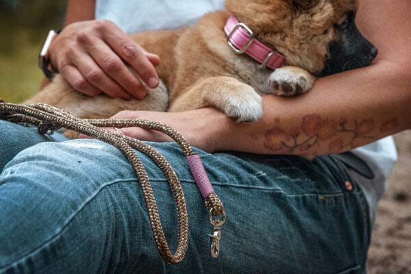 rosa Welpenhalsband mit Leine (gold digger ROSE)