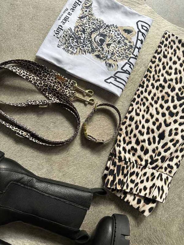 Leo-Look: Designerhalsband LEO mit Designerleine LEO