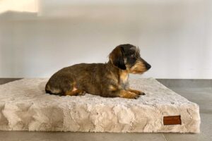 Hundebett *Ortho SAFE* - Fell, Beige