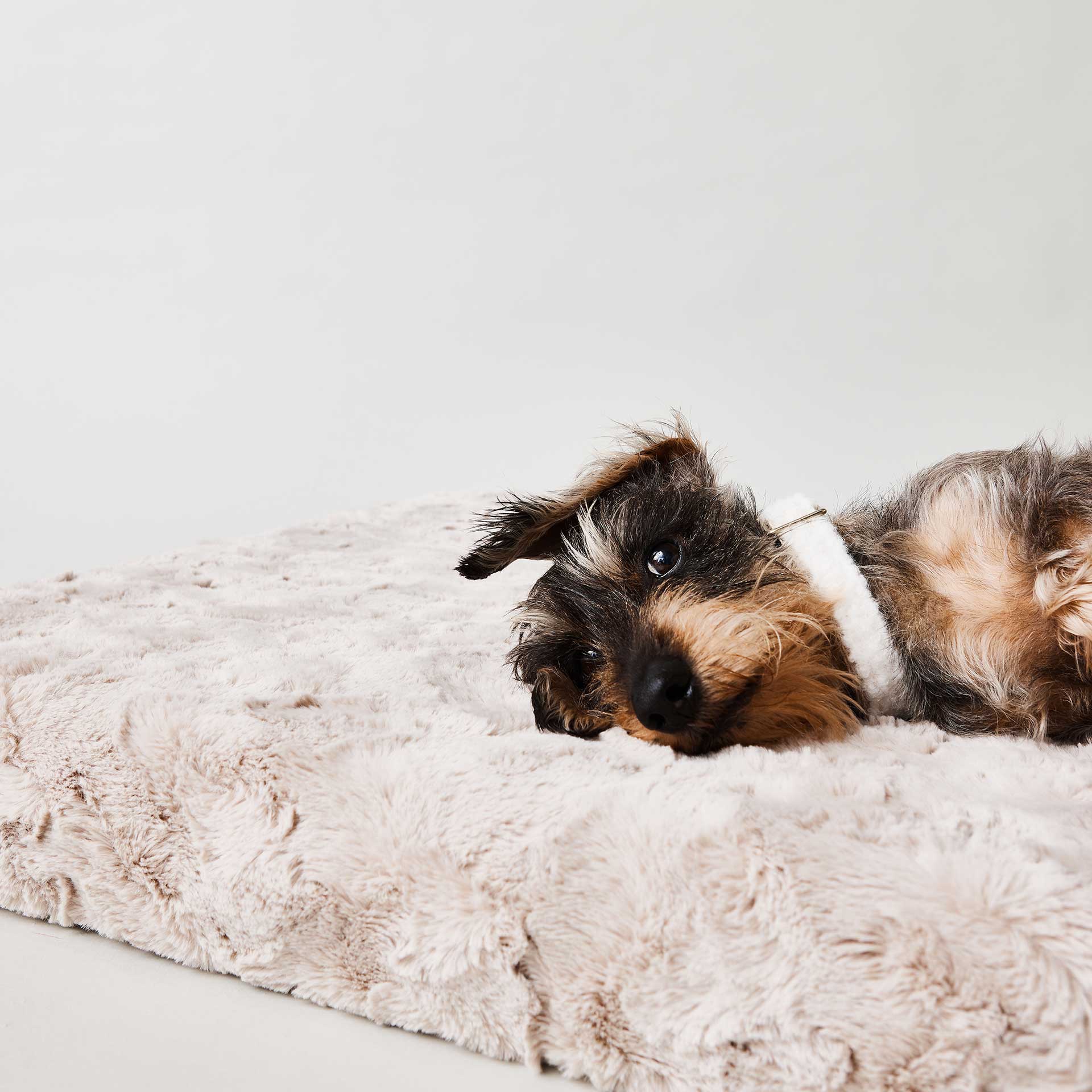 Hundebett *Ortho SAFE* - Fell, Beige – Bild 3