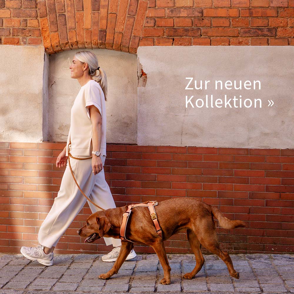 Boots & Ballerinas - die neue Hebst/Winter Kollektion ist da