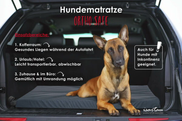 Schäferhund auf orthopädischer Matratze im Auto