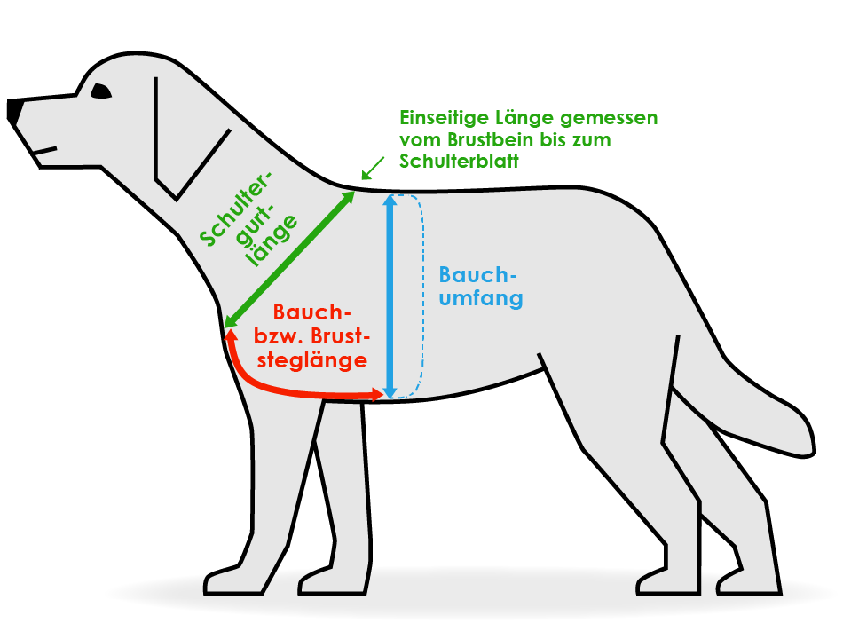 Messen Hundegeschirr