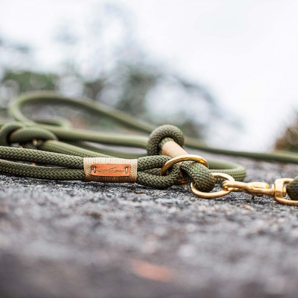 Halsband und Leinen Set in der Farbkombination Olive Grove GOLDNUGGET