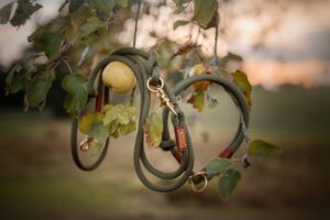 Herbstmotiv: Zugstopp mit Leine olive grove MAROON (Kletterseil)