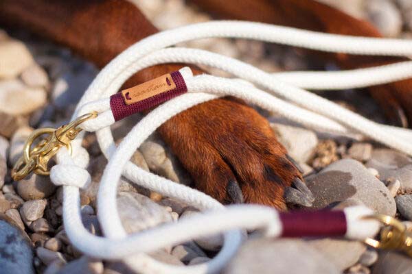 Halsband und Leinen Set Pure Breeze BOUNTY am Dobermann
