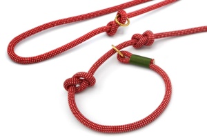 Retrieverleine 2-fach verstellbar (ca. 190cm + Halsung) - Kletterseil