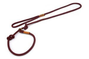 Retrieverleine mit Handschlaufe (ca. 130cm + Halsung) – Softtau