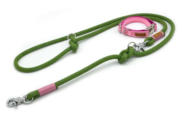 grüne Tauleine mit rosa Halsband