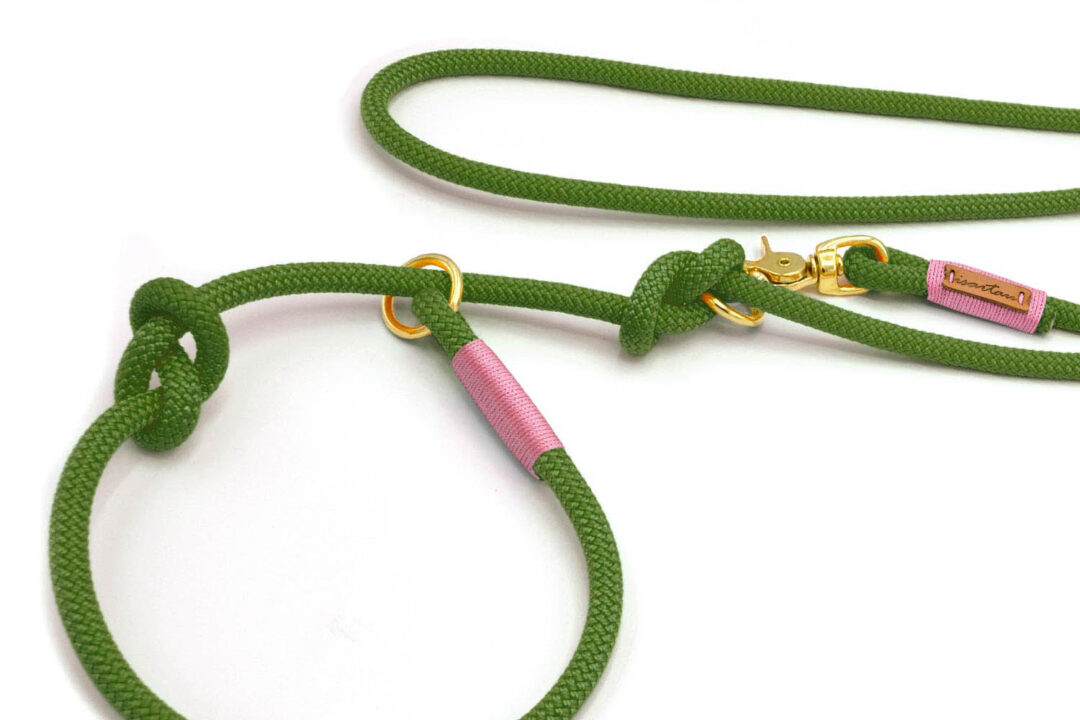 Retrieverleinen Savage Garden BLOSSOM (Kletterseil)