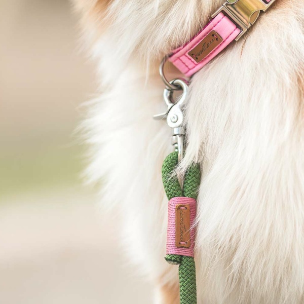 Aussie Ivy mit Softie ROSA und Leine Savage Garden BLOSSOM
