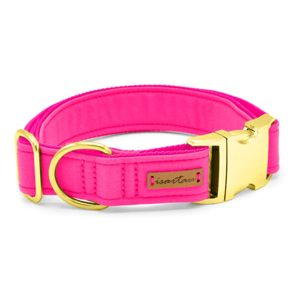 neonpinkes Halsband