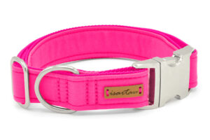 neonpinkes Halsband