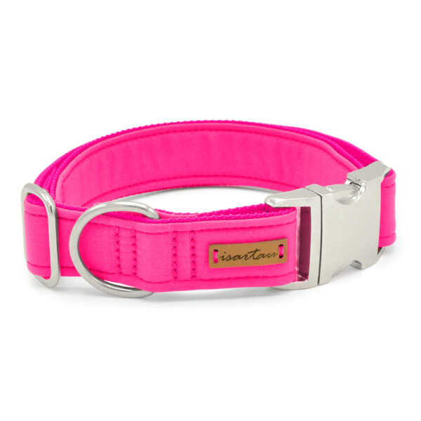 neonpinkes Halsband