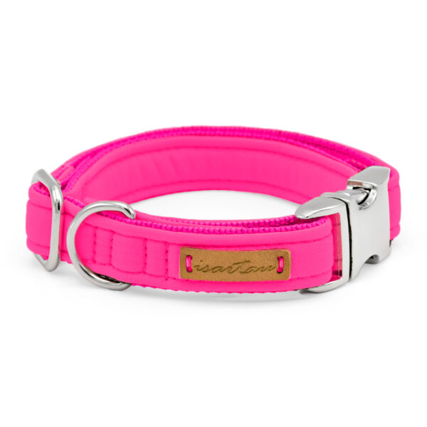 neonpinkes Halsband