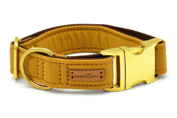 Hundehalsband Softie KARAMELL, 3cm breit mit Steckverschluss goldfarben