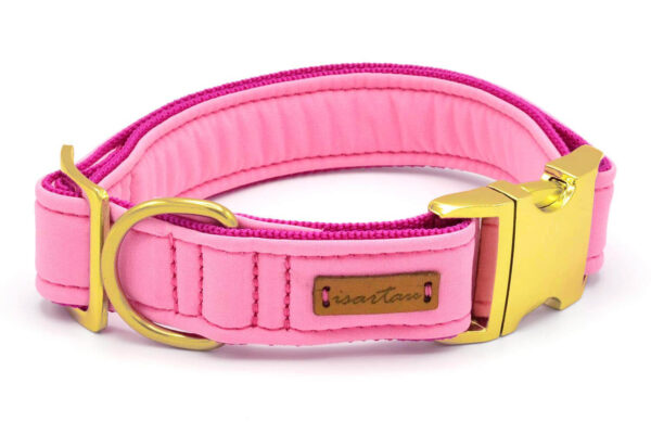 rosa Hundehalsband Softie Adult ROSA mit Steckverschluss Vermessingt, 3cm breit