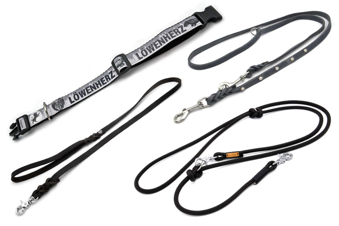 Dackel Halsband Löwenherz mit farblich passenden Leinen