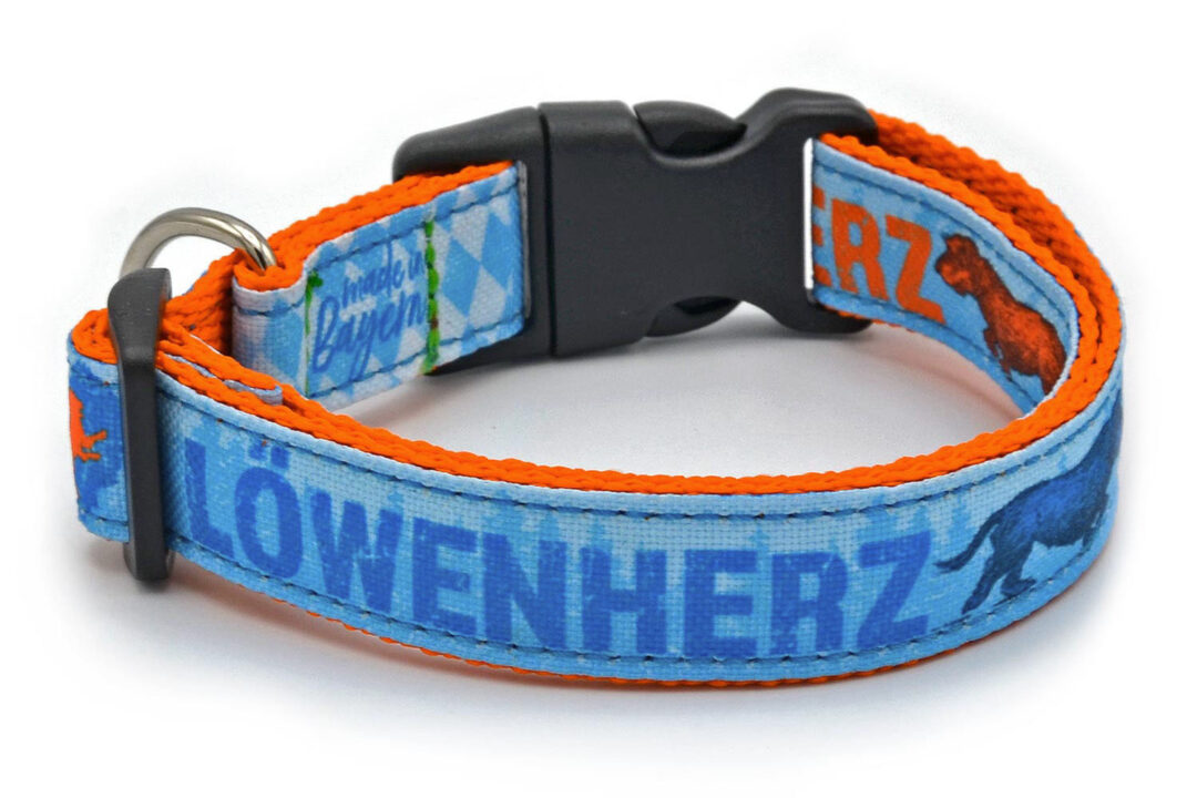 Dackel Halsband Löwenherz TÜRKIS/ORANGE