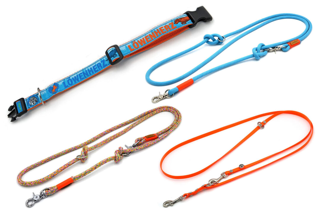 Dackel Halsband Löwenherz mit farblich passenden Leinen