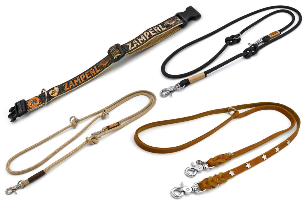 Dackel Halsband Zamperl mit farblich passenden Leinen