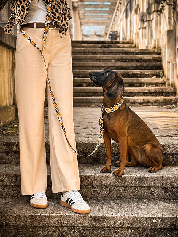 Sidebar-Cleo-01 Designerhalsband mit passender Leine "Herzzklpfen"