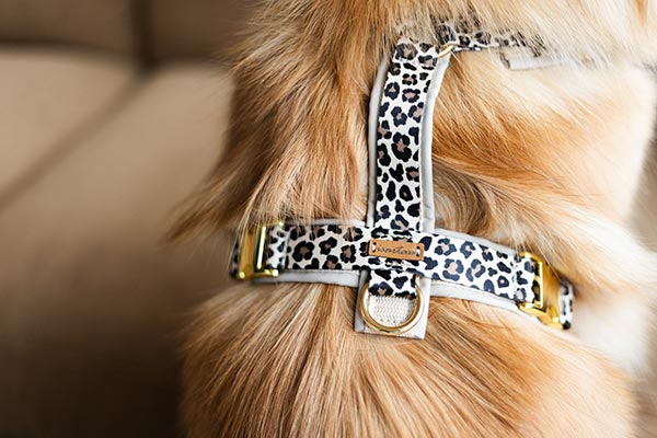 Sidebar-Coco-01 Designerleine im LeoLook mit Smile, 15mm breit mit Minikarabinern