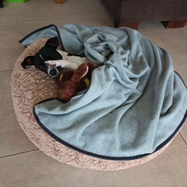 Terrier in Bagel BEIGE