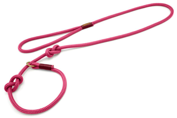 Tau-Retrieverleinen "Viva Magenta Burgunder" in Magenta mit burgunderfarbener Takelung