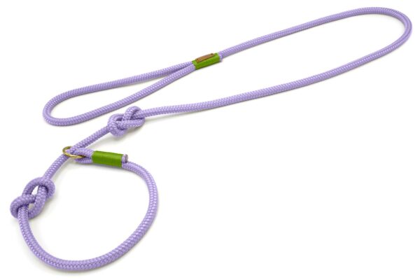 lilafarbene Retrieverleine mit Handschlaufe