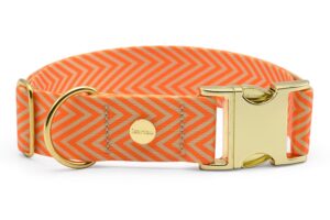 Designerhalsband *Tänzer*