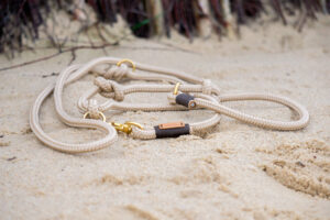 beige Hundeleine liegt am Strand