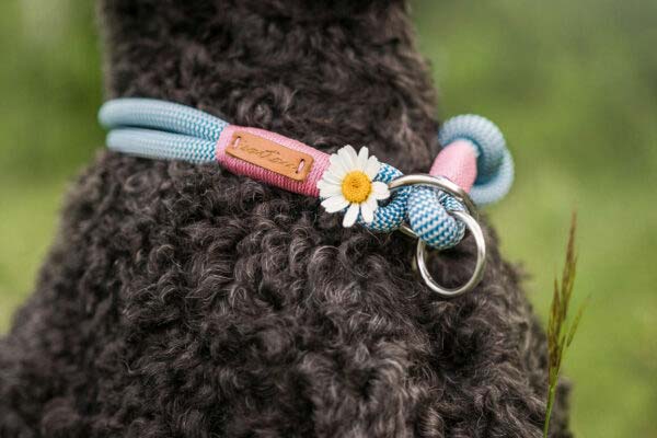 Detailaufnahme hellblaues Halsband mit Blume